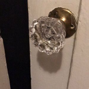 Meet your Posher, Adam